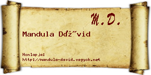 Mandula Dávid névjegykártya